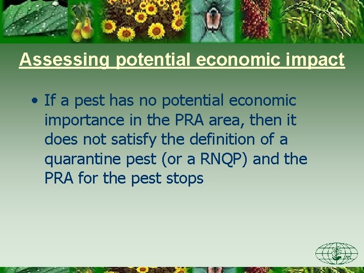 Assessing potential economic impact • If a pest has no potential economic importance in