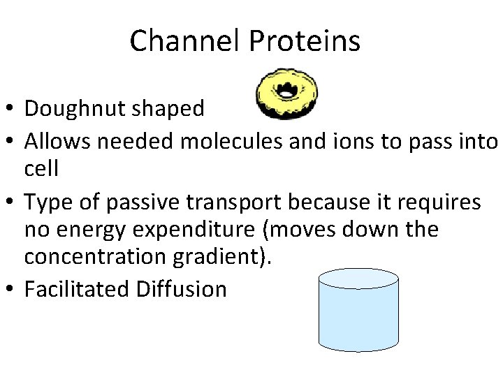 Channel Proteins • Doughnut shaped • Allows needed molecules and ions to pass into