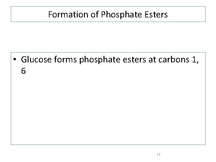 Formation of Phosphate Esters • Glucose forms phosphate esters at carbons 1, 6 17