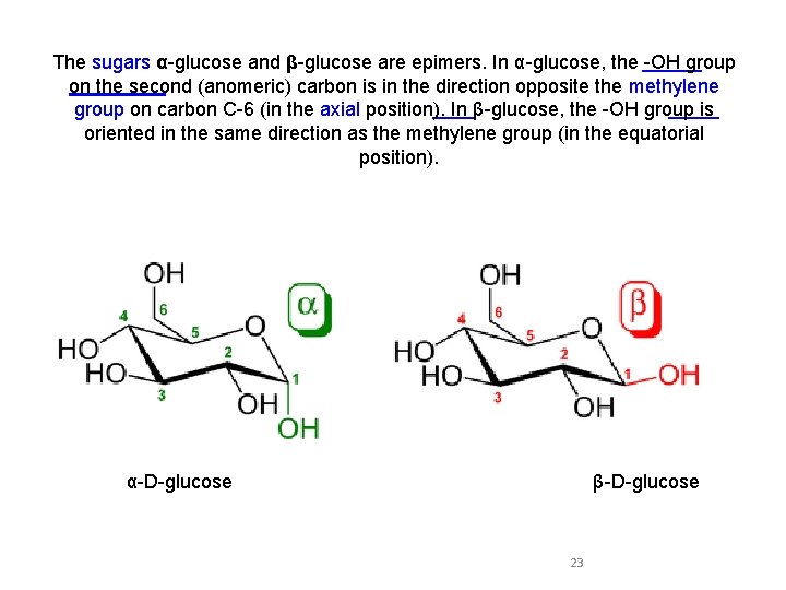 The sugars α-glucose and β-glucose are epimers. In α-glucose, the -OH group on the