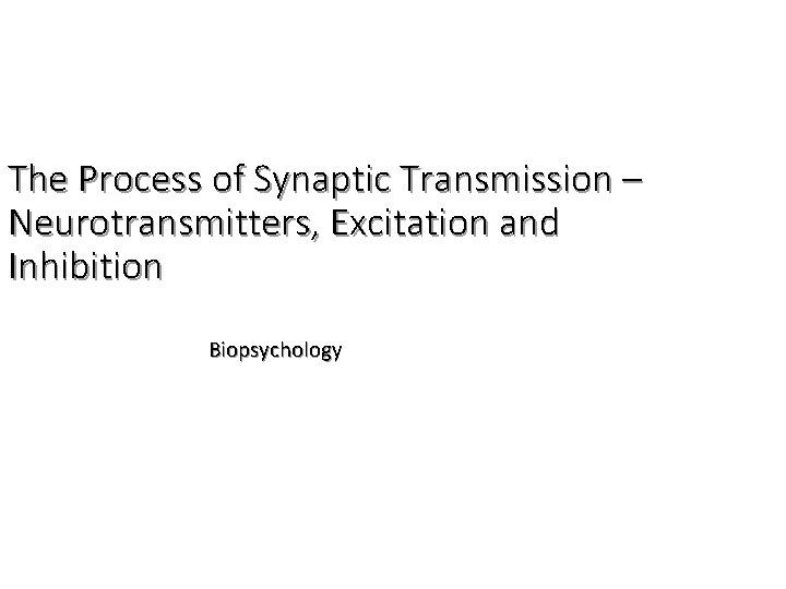 The Process of Synaptic Transmission – Neurotransmitters, Excitation and Inhibition Biopsychology 