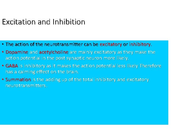 Excitation and Inhibition • The action of the neurotransmitter can be excitatory or inhibitory.