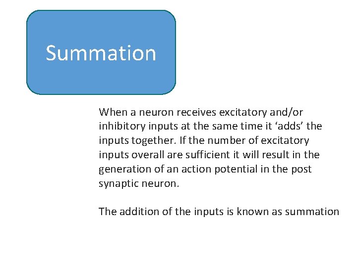 Summation When a neuron receives excitatory and/or inhibitory inputs at the same time it