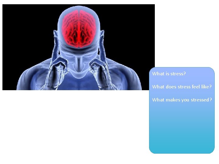 What is stress? What does stress feel like? What makes you stressed? 