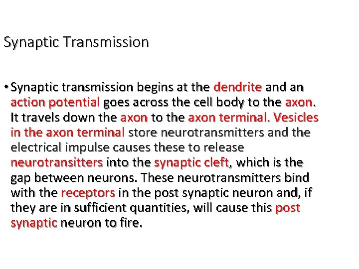 Synaptic Transmission • Synaptic transmission begins at the dendrite and an action potential goes