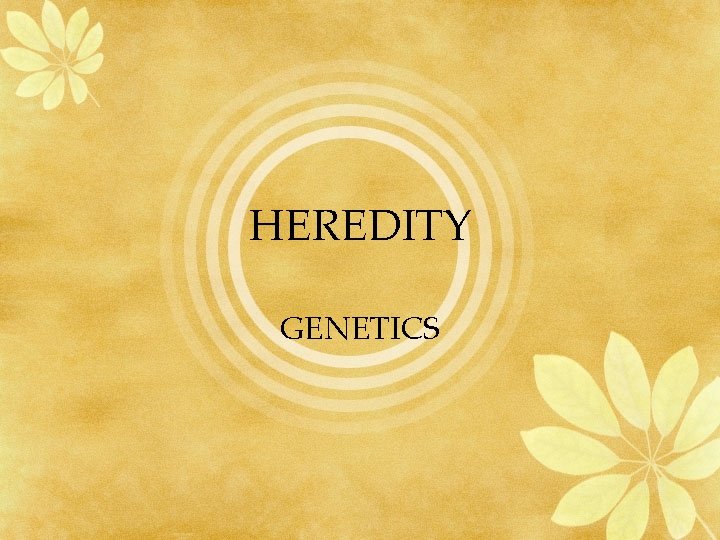 HEREDITY GENETICS 