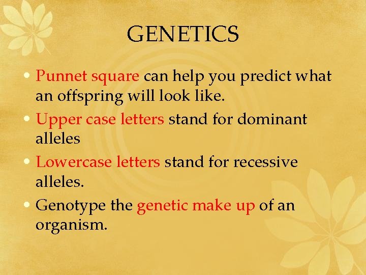GENETICS • Punnet square can help you predict what an offspring will look like.