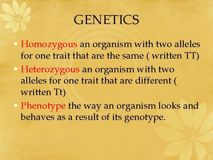 GENETICS • Homozygous an organism with two alleles for one trait that are the