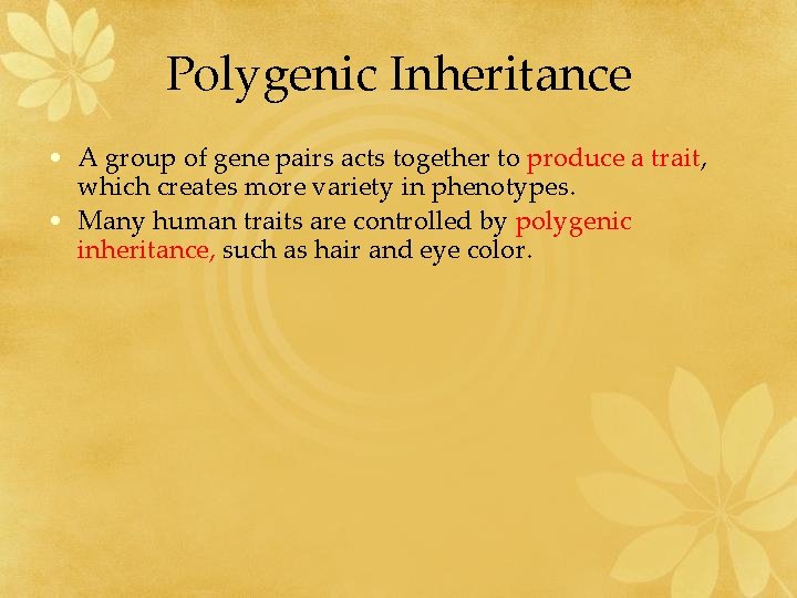 Polygenic Inheritance • A group of gene pairs acts together to produce a trait,