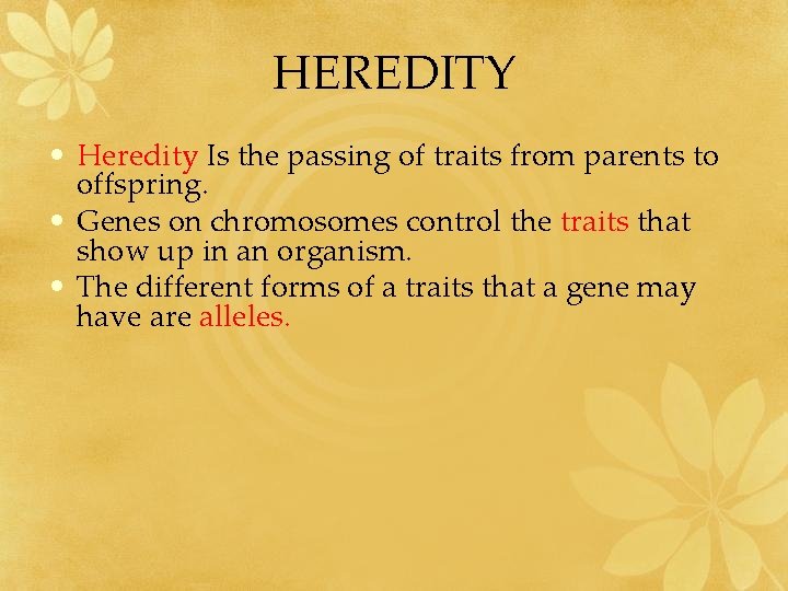 HEREDITY • Heredity Is the passing of traits from parents to offspring. • Genes