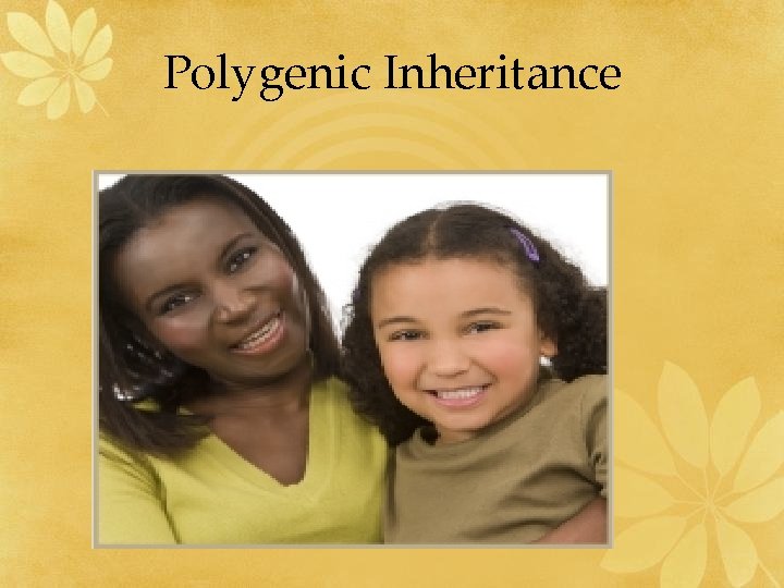 Polygenic Inheritance 