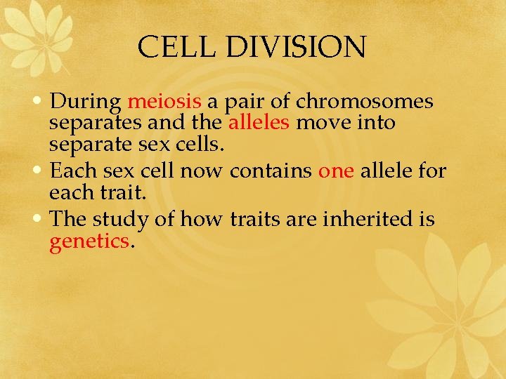 CELL DIVISION • During meiosis a pair of chromosomes separates and the alleles move