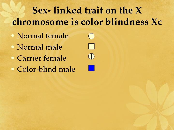 Sex- linked trait on the X chromosome is color blindness Xc • Normal female