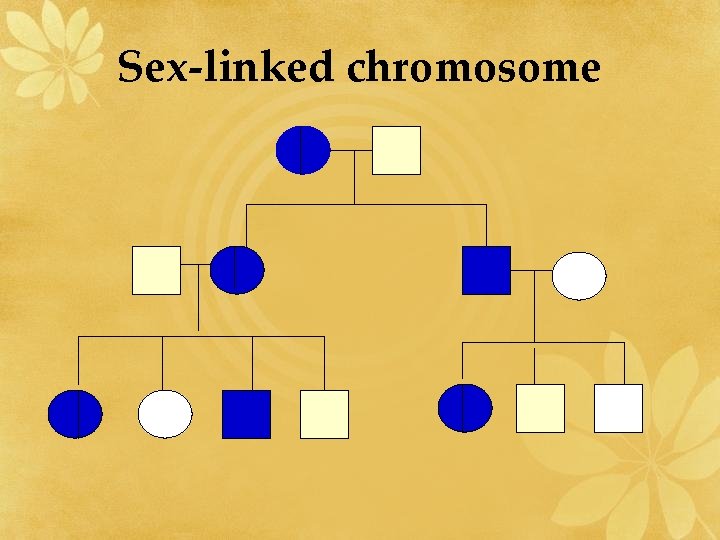 Sex-linked chromosome 
