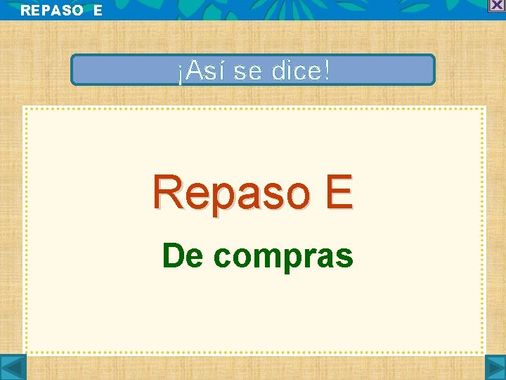 REPASO E ¡Así se dice! Repaso E De compras 