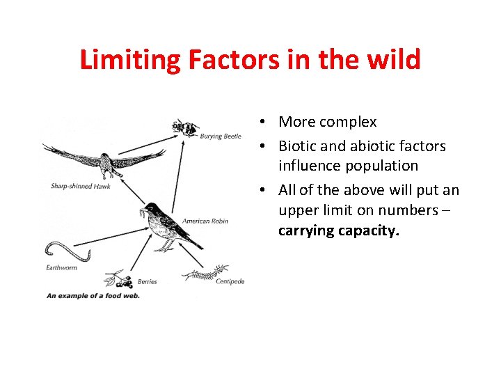 Limiting Factors in the wild • More complex • Biotic and abiotic factors influence