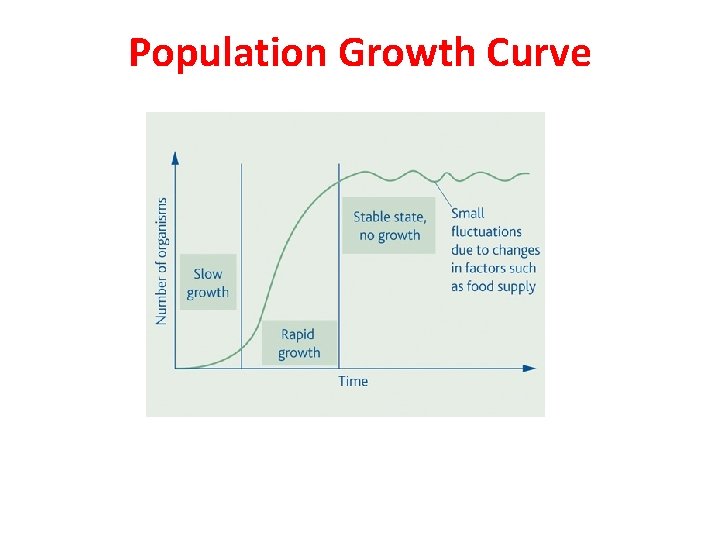 Population Growth Curve 