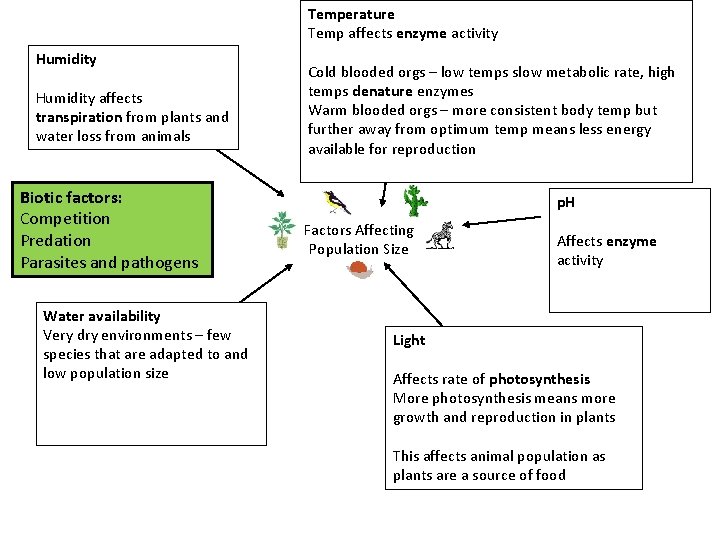 Temperature Temp affects enzyme activity Humidity affects transpiration from plants and water loss from