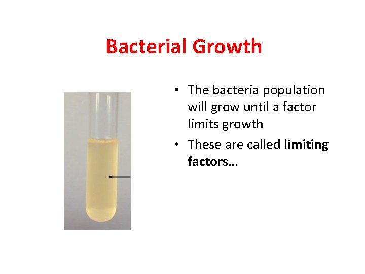 Bacterial Growth • The bacteria population will grow until a factor limits growth •