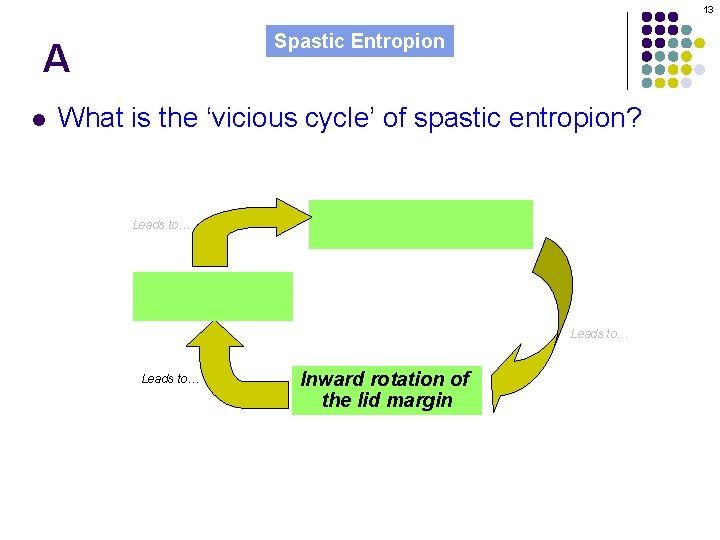 13 Spastic Entropion A l What is the ‘vicious cycle’ of spastic entropion? Leads