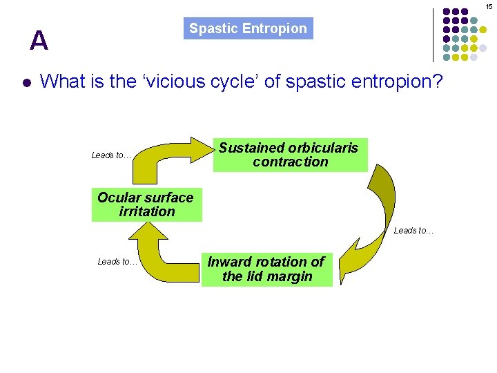 15 Spastic Entropion A l What is the ‘vicious cycle’ of spastic entropion? Leads