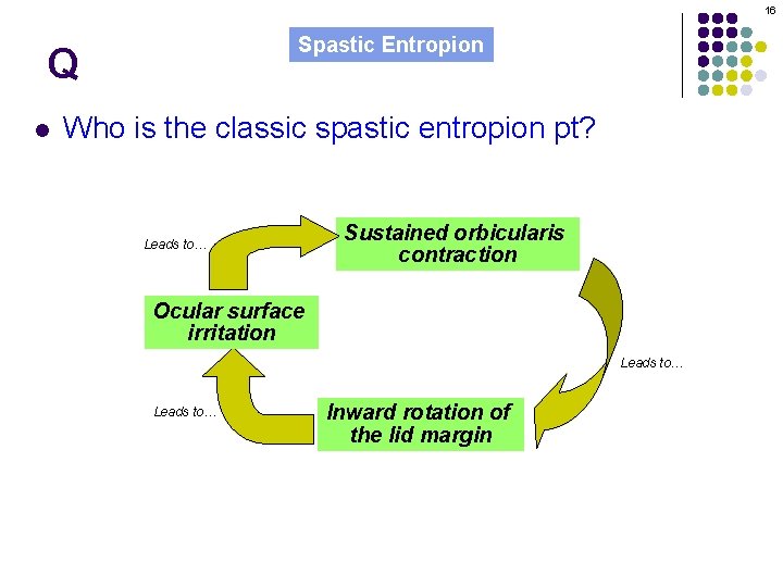 16 Spastic Entropion Q l Who is the classic spastic entropion pt? Leads to…