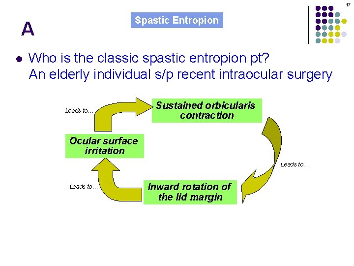 17 Spastic Entropion A l Who is the classic spastic entropion pt? An elderly