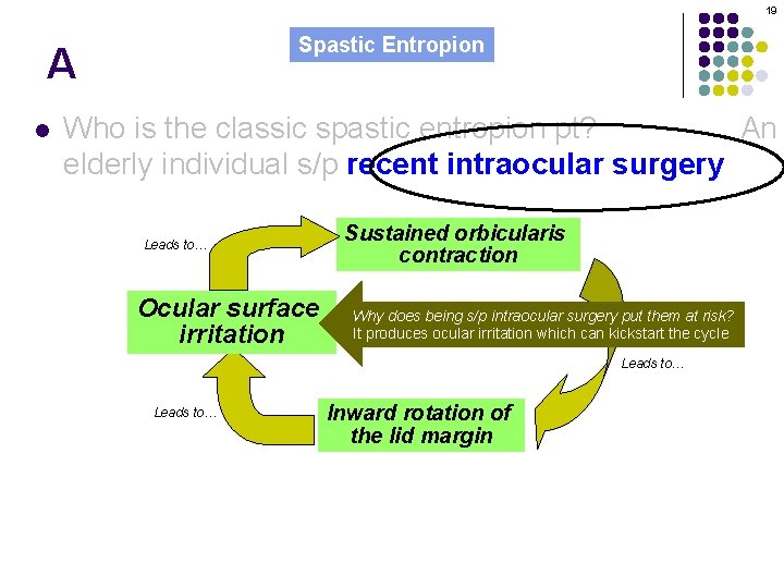 19 Spastic Entropion A l Who is the classic spastic entropion pt? An elderly