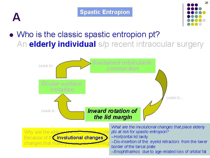 25 Spastic Entropion A l Who is the classic spastic entropion pt? An elderly