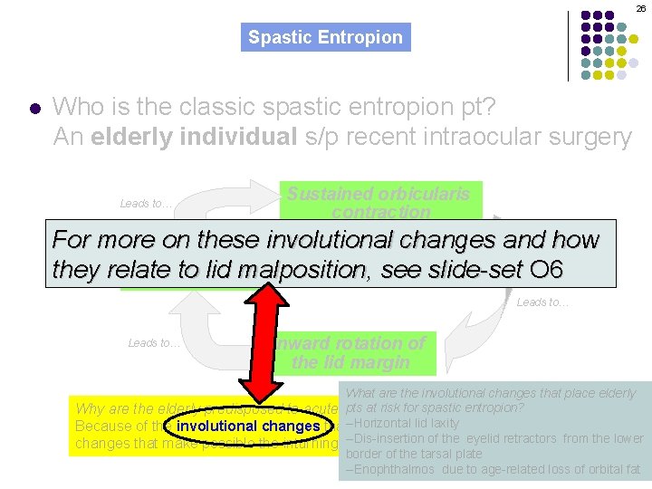 26 Spastic Entropion l Who is the classic spastic entropion pt? An elderly individual