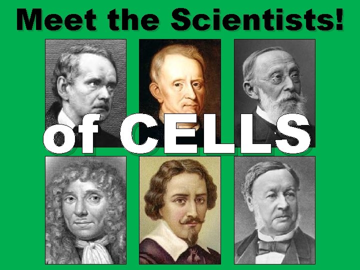Meet the Scientists! of CELLS Meet the Scientists! of CELLS