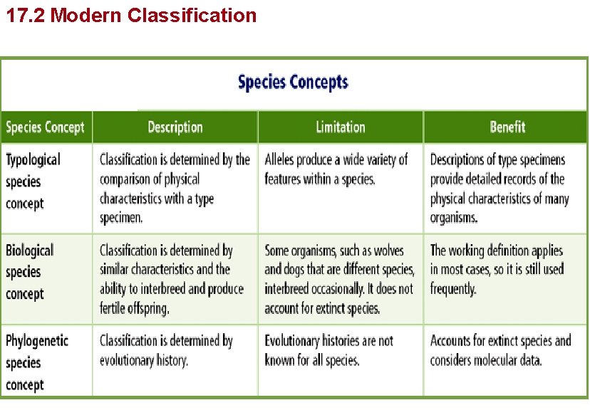 Organizing Life’s Diversity 17. 2 Modern Classification 