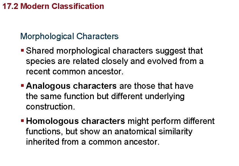 Organizing Life’s Diversity 17. 2 Modern Classification Morphological Characters § Shared morphological characters suggest