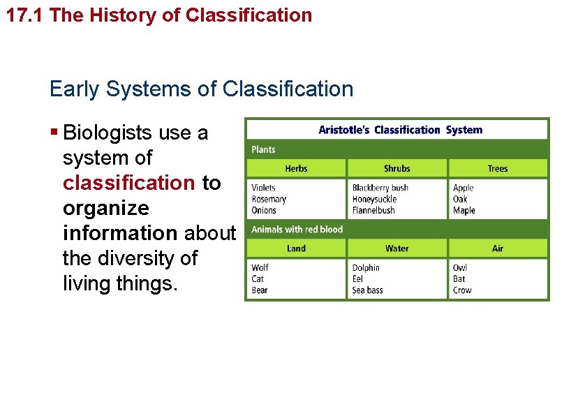 17. 1 The History of Classification Early Systems of Classification § Biologists use a