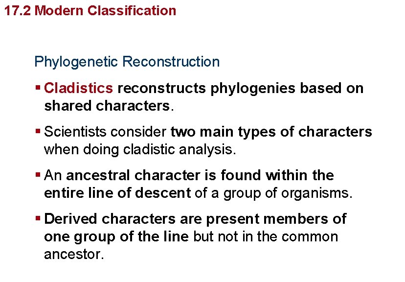 Organizing Life’s Diversity 17. 2 Modern Classification Phylogenetic Reconstruction § Cladistics reconstructs phylogenies based