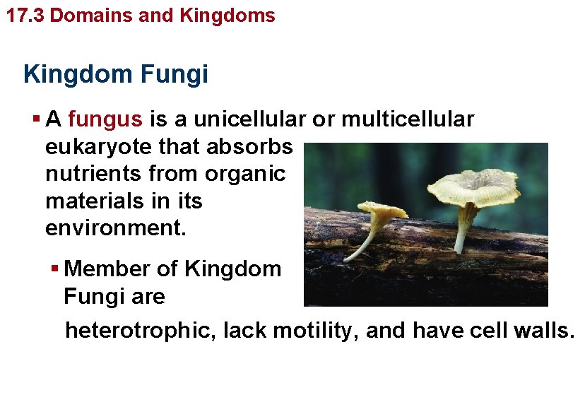 Organizing Diversity 17. 3 Domains and. Life’s Kingdom Fungi § A fungus is a