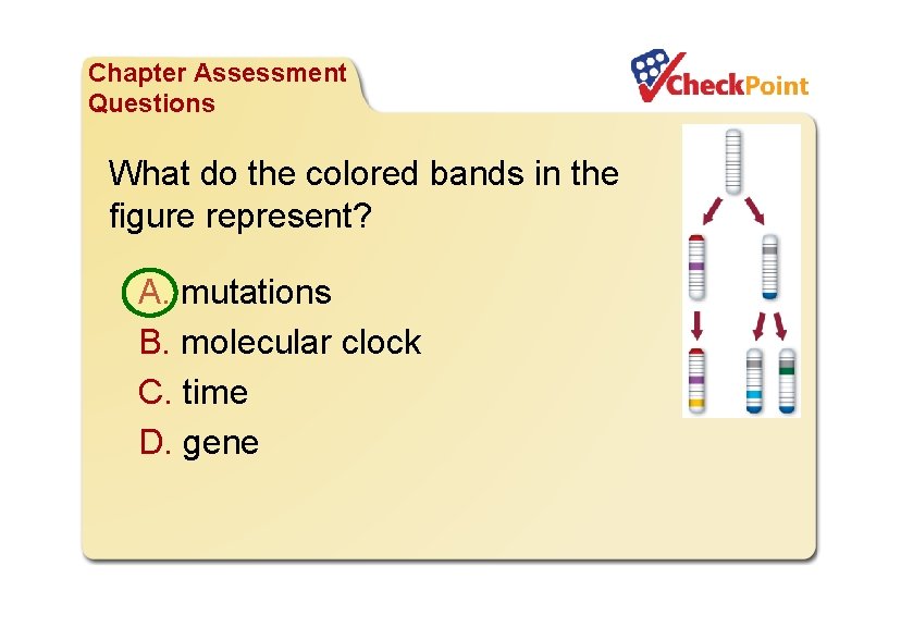 Organizing Life’s Diversity Chapter Assessment Questions What do the colored bands in the figure