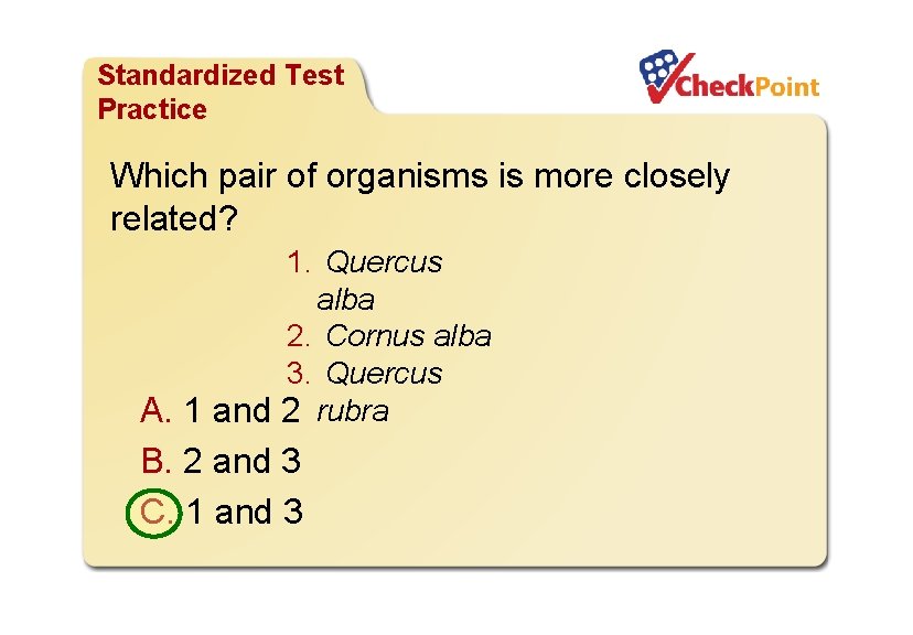 Organizing Life’s Diversity Standardized Test Practice Which pair of organisms is more closely related?
