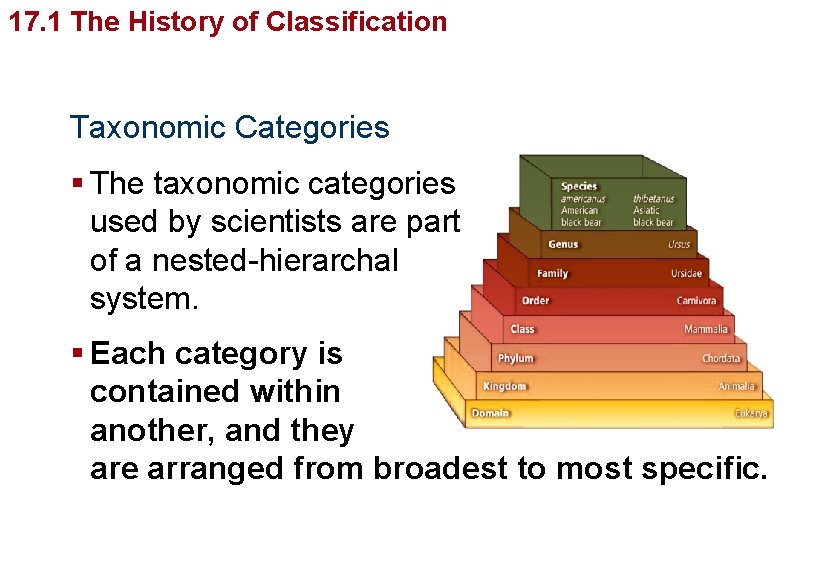 Organizingof Life’s Diversity 17. 1 The History Classification Taxonomic Categories § The taxonomic categories