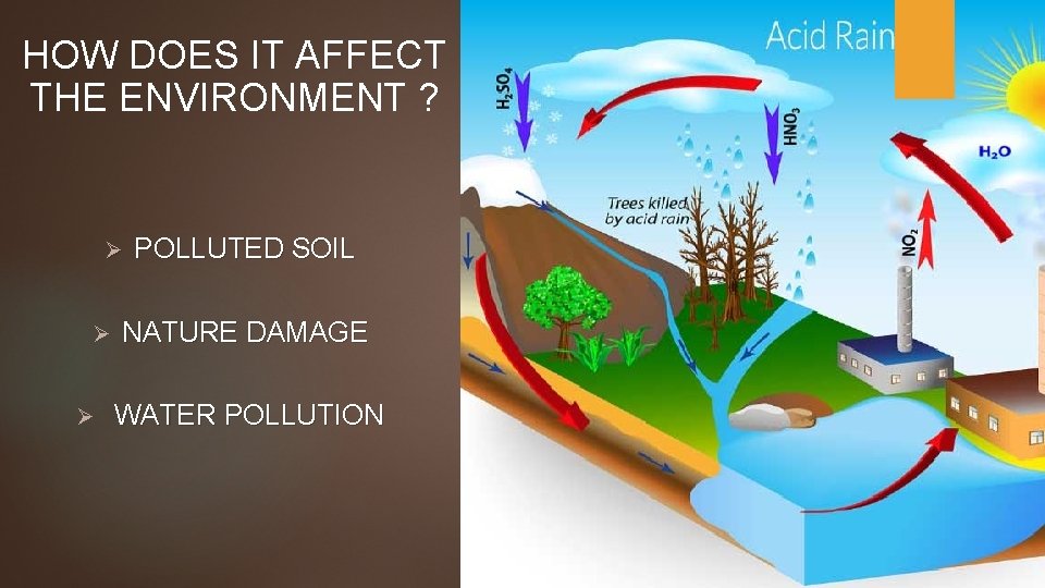 HOW DOES IT AFFECT THE ENVIRONMENT ? Ø Ø Ø POLLUTED SOIL NATURE DAMAGE