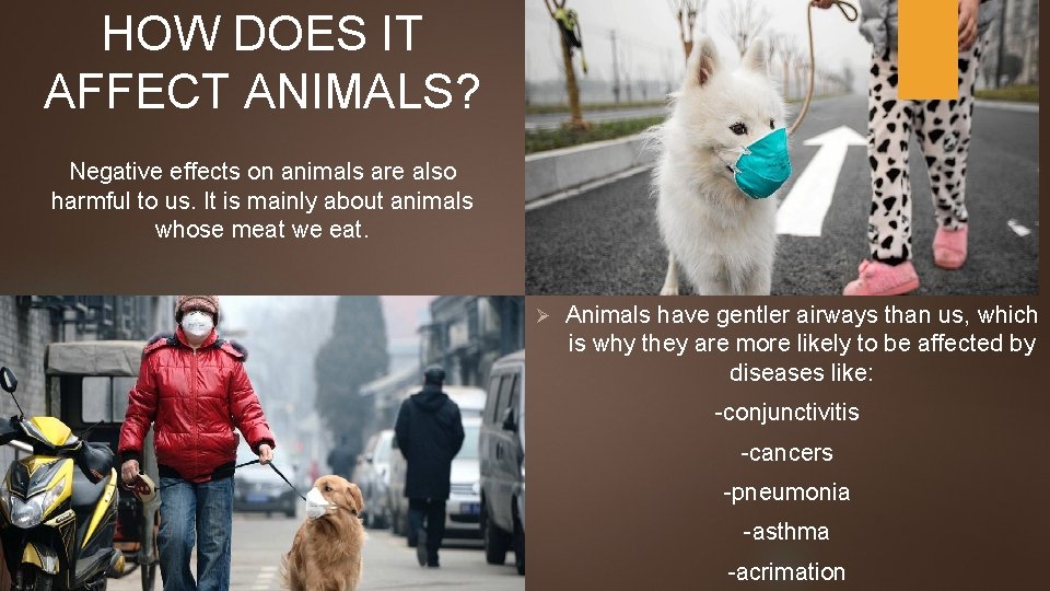 HOW DOES IT AFFECT ANIMALS? Negative effects on animals are also harmful to us.