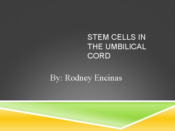 STEM CELLS IN THE UMBILICAL CORD By: Rodney Encinas 