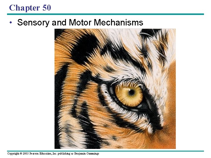 Chapter 50 • Sensory and Motor Mechanisms Copyright © 2005 Pearson Education, Inc. publishing