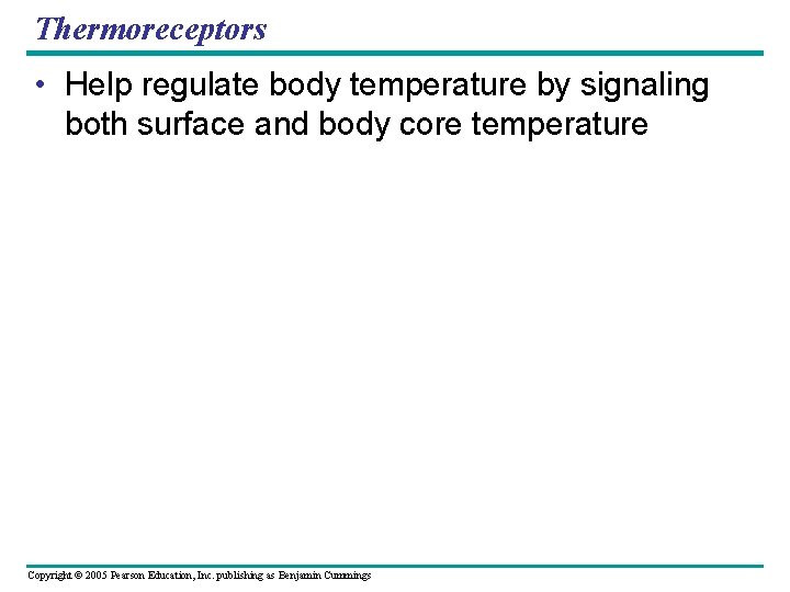 Thermoreceptors • Help regulate body temperature by signaling both surface and body core temperature