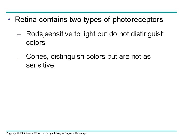  • Retina contains two types of photoreceptors – Rods, sensitive to light but