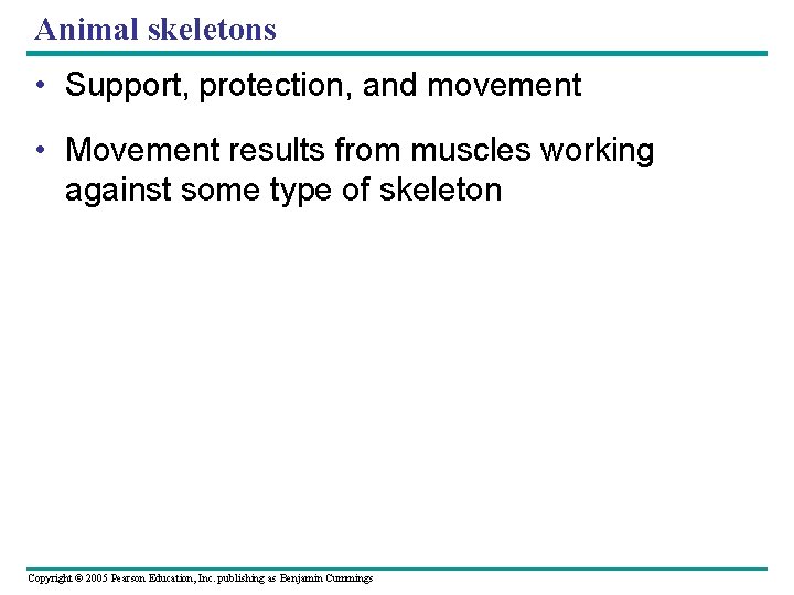 Animal skeletons • Support, protection, and movement • Movement results from muscles working against