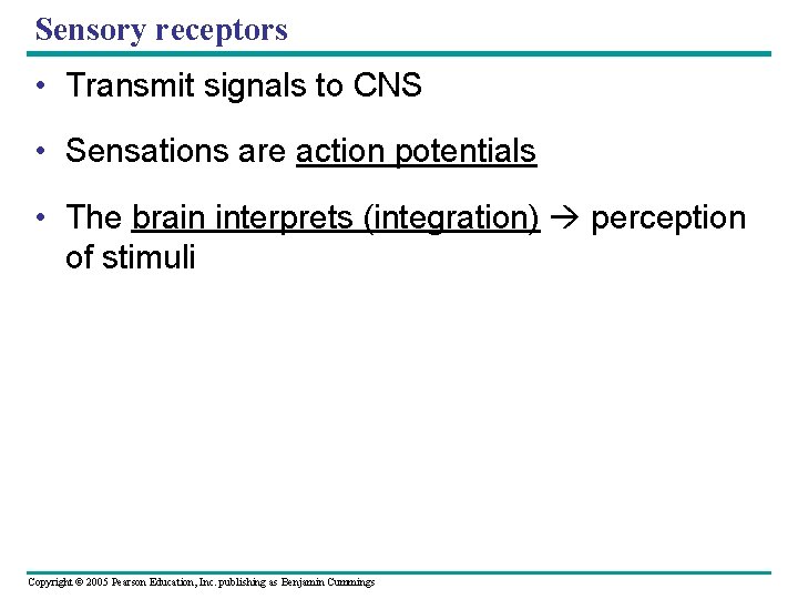 Sensory receptors • Transmit signals to CNS • Sensations are action potentials • The