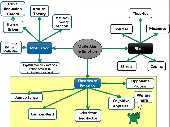 Drive Reduction Theory Arousal Theory Human Drives Intrinsic/ Extrinsic Motivation Theories Maslow’s Hierarchy of