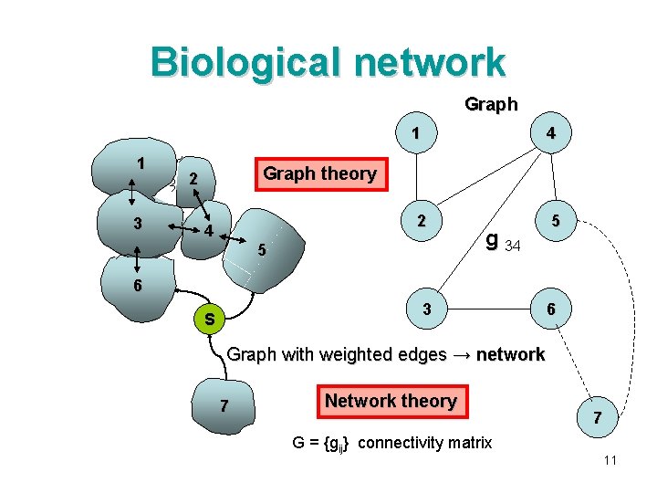 Biological network Graph 1 11 3 4 Graph theory 2 2 4 5 5
