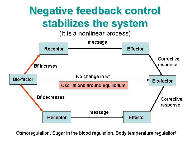 Negative feedback control stabilizes the system (It is a nonlinear process) message Receptor Effector